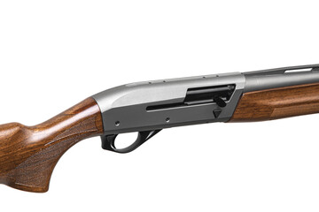 A modern semi-automatic shotgun with a wooden stock and a silver barrel. Weapons for hunting and sports. Isolate on a white back