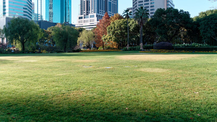 Green grass field and forest with modern office buildings background in Shanghai city