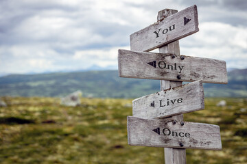 you only live once text quote engraved on wooden signpost outdoors in nature.