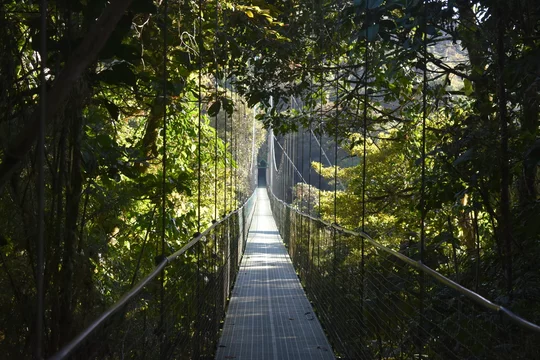 Réserve biologique de Monteverde