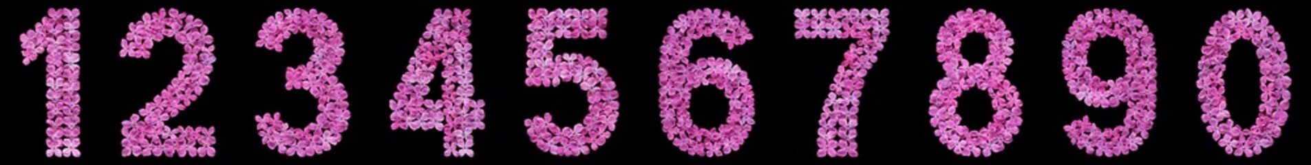 Set of arabic numbers, natural flowers of lilac, isolated on black background