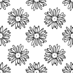 a pattern of chamomile flowers. seamless pattern of Wild daisy flower sketch, isolated outline in black, top view on white for organic label and packaging design template