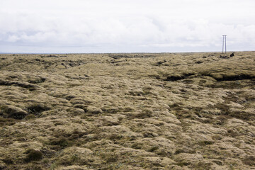 Green Grassy mountain Landscape in the highlands. Travel and nature on a beautiful cold day