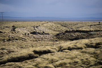 Green Grassy mountain Landscape in the highlands. Travel and nature on a beautiful cold day