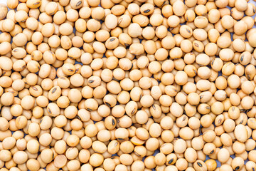 Top view of soy bean background. Closeup view of soy beans. Soy bean is the important plant protein for human.