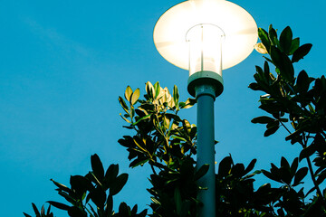street lamp in the park