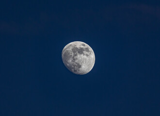 Naklejka na ściany i meble Closeup of the waxing moon - one day before full moon - early evening capture against dark blue sky. Stuttgart, Germany January 22, 2022 