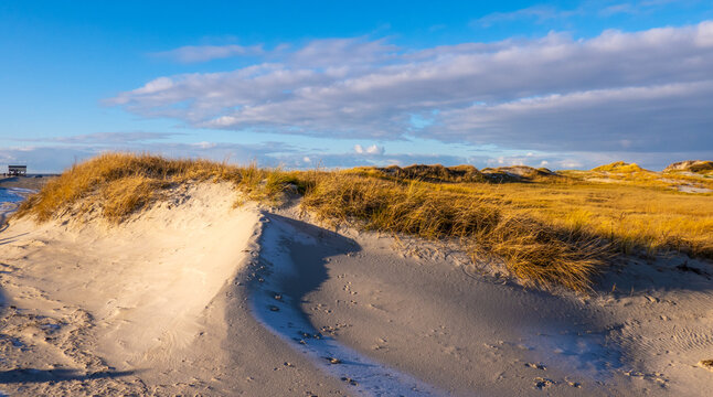 The dunes and Wadden Sea at St Peter Ording Germany - travel photography