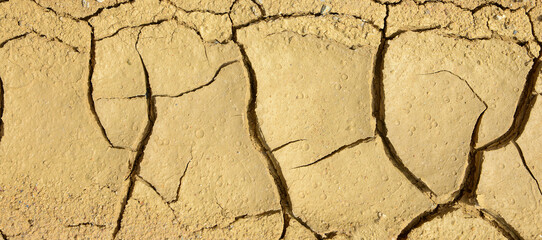 cracked of dry soil