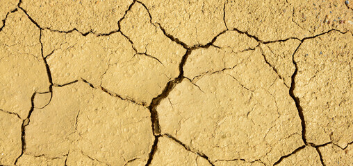 cracked of dry soil