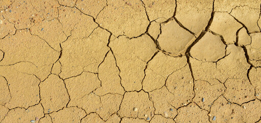 cracked of dry soil