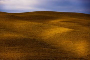 Typical rural fields and landscape in Tuscany Italy - travel photography