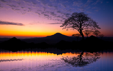 Silhouette tree and Mountain in africa with sunset.Tree silhouetted against a setting sun...