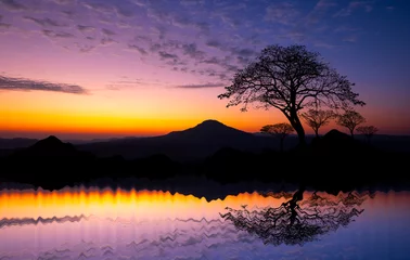 Tafelkleed Silhouette tree and Mountain in africa with sunset.Tree silhouetted against a setting sun reflection on water.Typical african sunset with acacia trees in Masai Mara, Kenya. © noon@photo