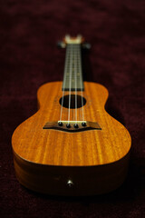 brown ukulele on maroon carpet 3