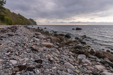 The Baltic Sea coast and the pebble beach in Goor, Mecklenburg-Western Pomerania, Germany