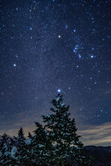 Fototapeta premium 星空のクリスマスツリー