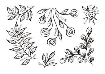 Fototapeta premium Set flower and leave. Black floral elements on white Background