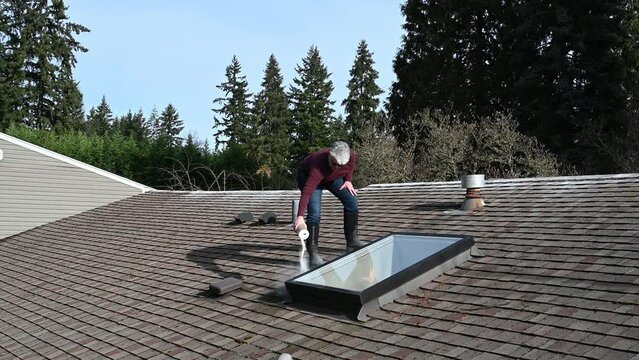Middle aged woman shaking container of moss killer around a skylight on a rooftop, maintenance on a sunny winter day
