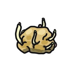 発芽したじゃかいものイラスト