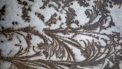 Pattern on cement floor, under low temperature and natural conditions