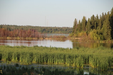 Edge Of The Island, Elk Island National Park, Alberta