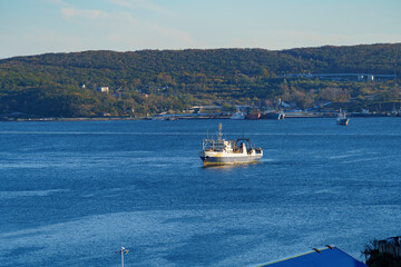 Seascape with a view of the bay and ships.