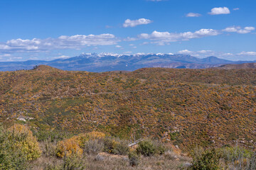 Mesa Verde National Park