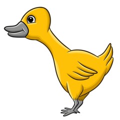 Cute cartoon duck isolated