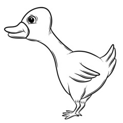 Duck outline