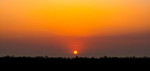 african wildlife - savannah landscape at sunrise