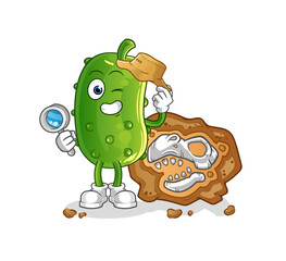 cucumber archaeologists with fossils mascot. cartoon vector