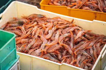 Freshly just caught shrimps and other fish in plastic crates on a fishing wooden boat ready to be...