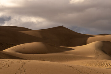 Fototapeta na wymiar Great Sand Dunes National Park