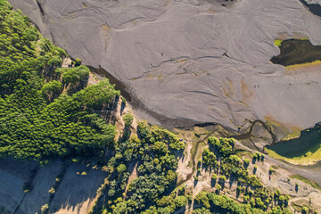 Forest and river - Hualqui, Chile.