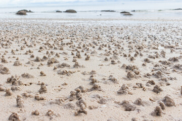 Sand piles made by beach fleas in Hua Hin beach, Thailand.