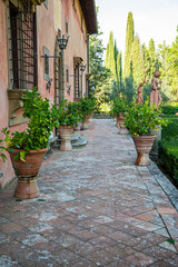 Fototapeta na wymiar Fountains, terracotta walls and tall trees of a Tuscan villa, Italy