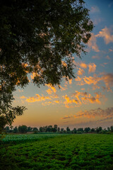 Beautiful sunrise or sunset lighting the clouds softly