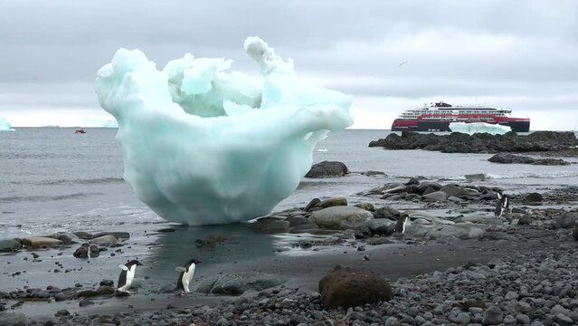 Penguins. Antarctica. A group of Penguins walking along the rocky shore of a penguin colony in the Antarctic peninsula.