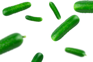 Creative layout of cucumbers. Food concept. copy space. Green cucumbers. flat lay