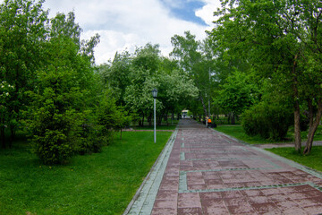 path in the park