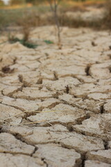 Closeup detail of dry cracked lakebed