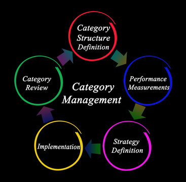 Five Stages of Category Management.