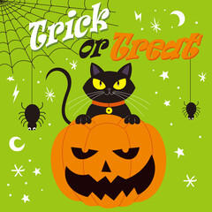 halloween background with pumpkin and black cat