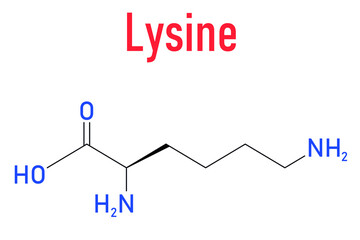 Lysine or l-lysine, Lys, K amino acid molecule. Skeletal formula.