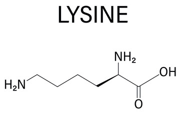 Lysine or l-lysine, Lys, K amino acid molecule. Skeletal formula.