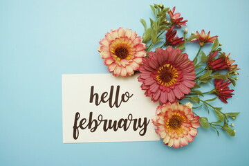 Hello February typography text with daisy flowers on blue background