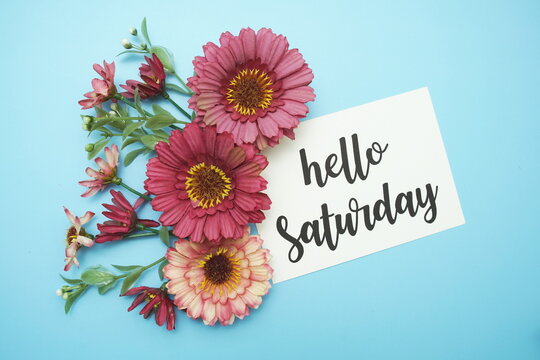 Hello Saturday typography text with daisy flowers on blue background