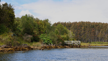 The Chepu River, Chiloe, Chile