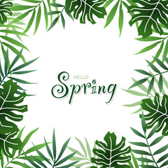 Hello Spring and Summer Typography.  Lettering spring or summer season with palm in the jungle for greeting card, invitation template, label tag spring sale.